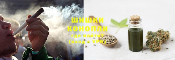 молекула духа Михайлов