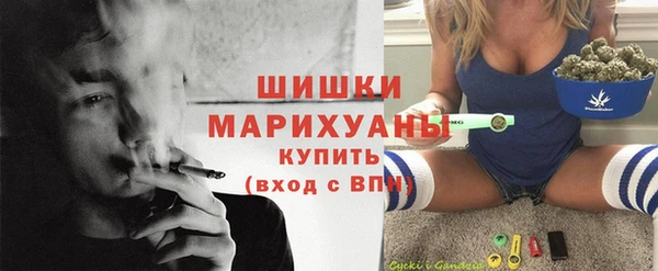 молекула духа Михайлов