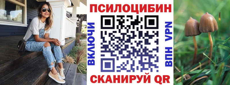 Псилоцибиновые грибы Psilocybe  купить   Остров 